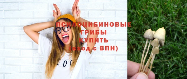 ГАЛЛЮЦИНОГЕННЫЕ ГРИБЫ Надым