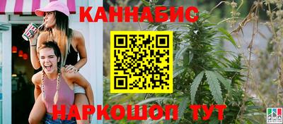 гашик Аргун