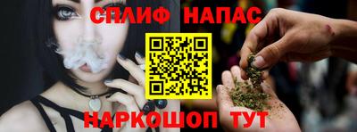 гашик Аргун