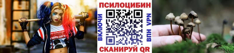 Галлюциногенные грибы GOLDEN TEACHER  Балашиха 
