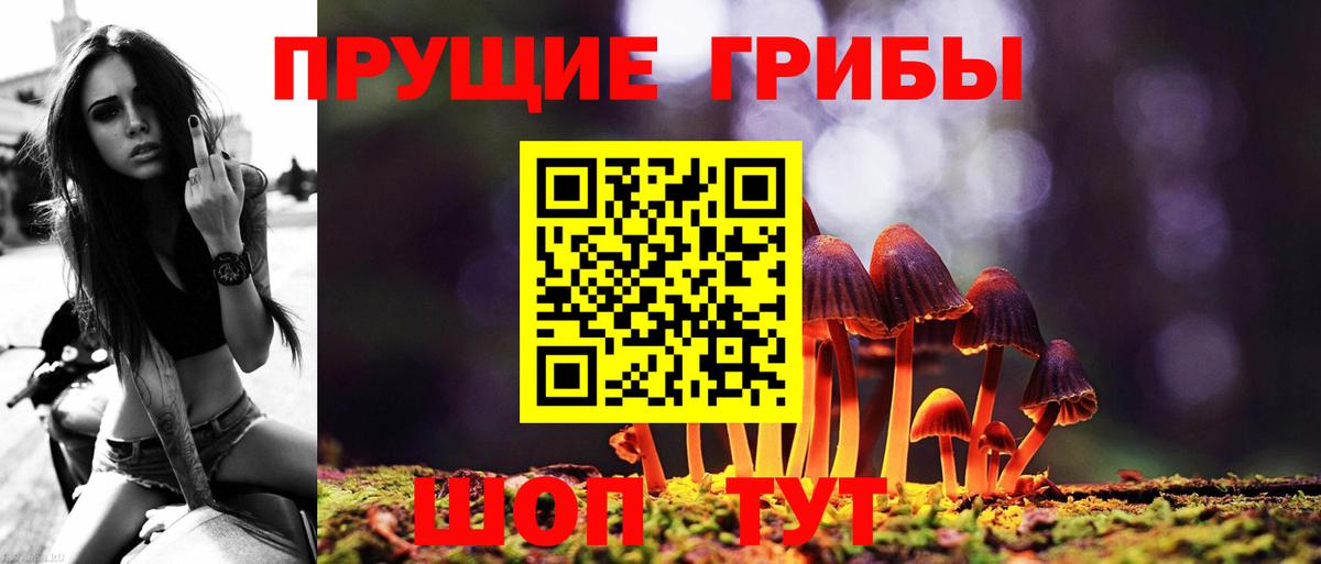 Балашиха  Галлюциногенные грибы мухоморы  Псилоцибиновые грибы мухоморы  Вход с VPN 